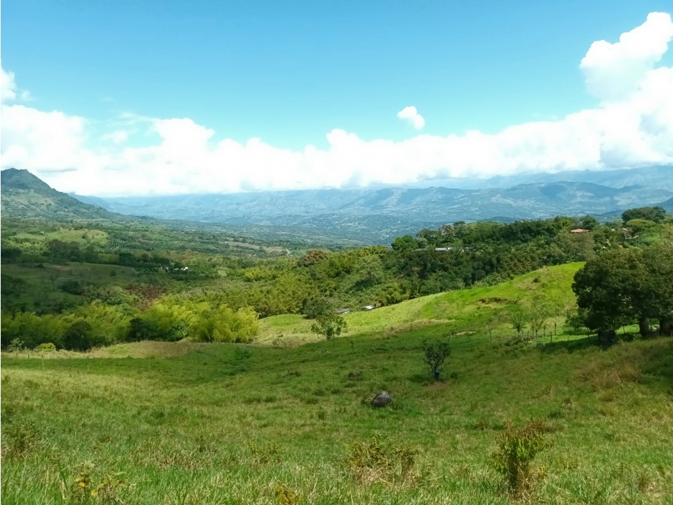 Lote en venta en Támesis Antioquia - 2