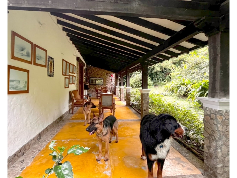 Finca en venta en Venecia, Vereda El Rincón — foto 5