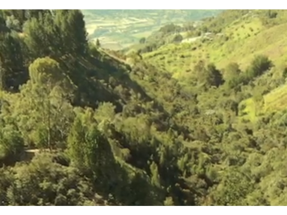 Lote en venta en Guarne Vereda El Cano — foto 6