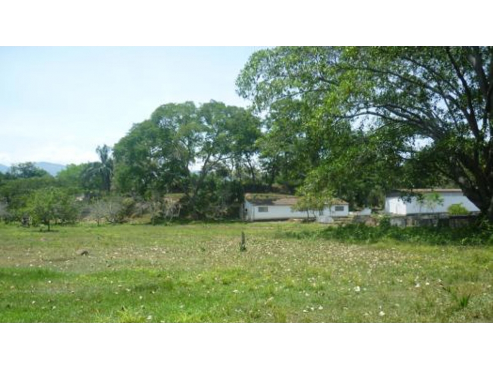 Lote en venta en Melgar Vía Carmen de Apicalá - 6