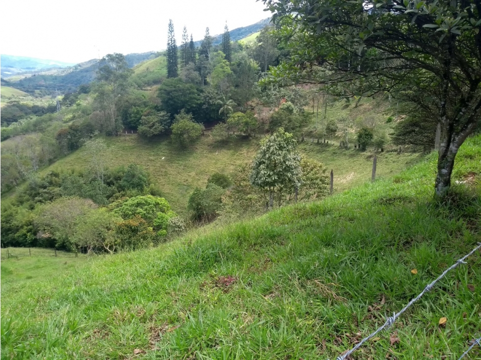 Lote en venta en Barbosa Vereda Popalito — foto 6