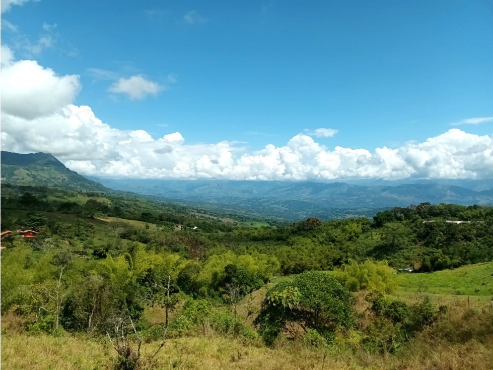 Lote en venta en Támesis Antioquia - 3