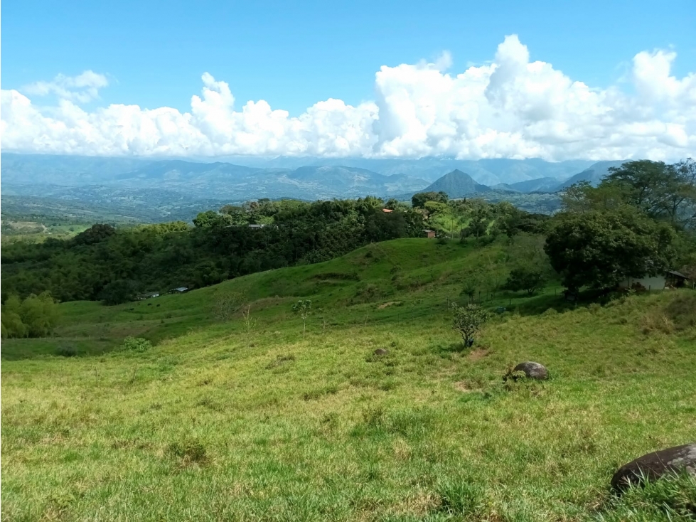Lote en venta en Támesis Antioquia - 4