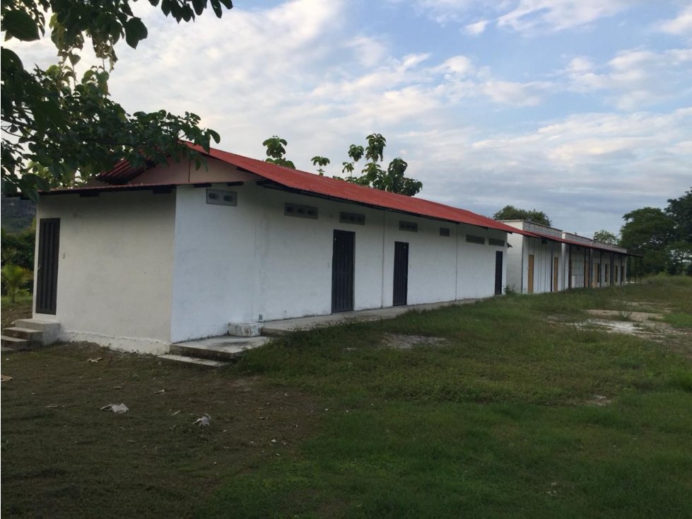Finca en venta ubicada en La Dorada, ideal para granja solar - 2