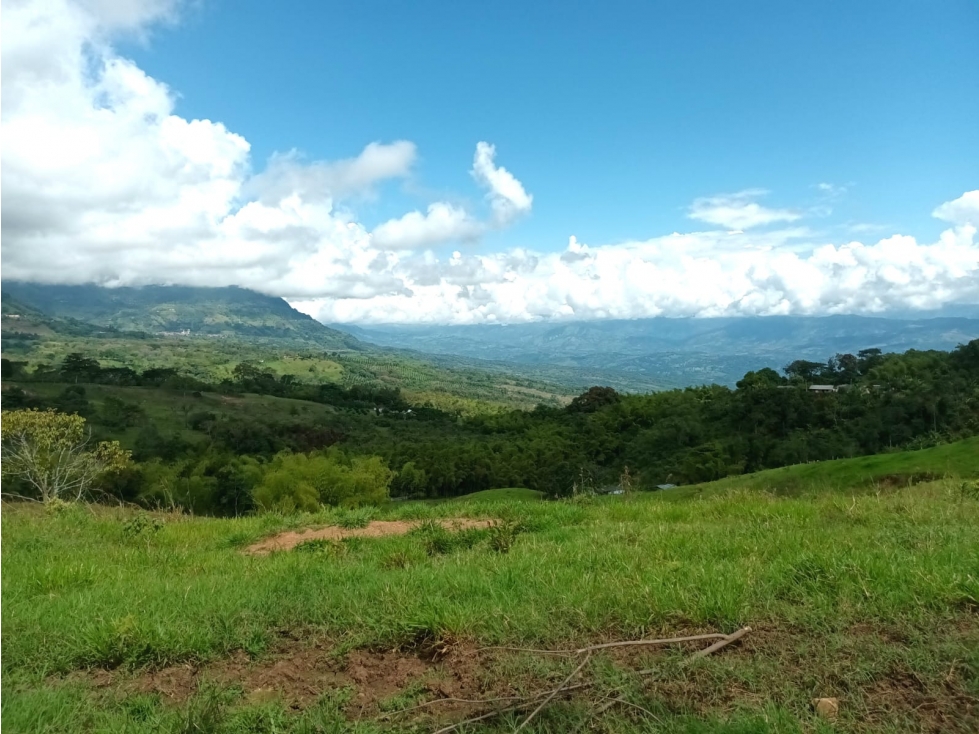Lote en venta en Támesis Antioquia - 5