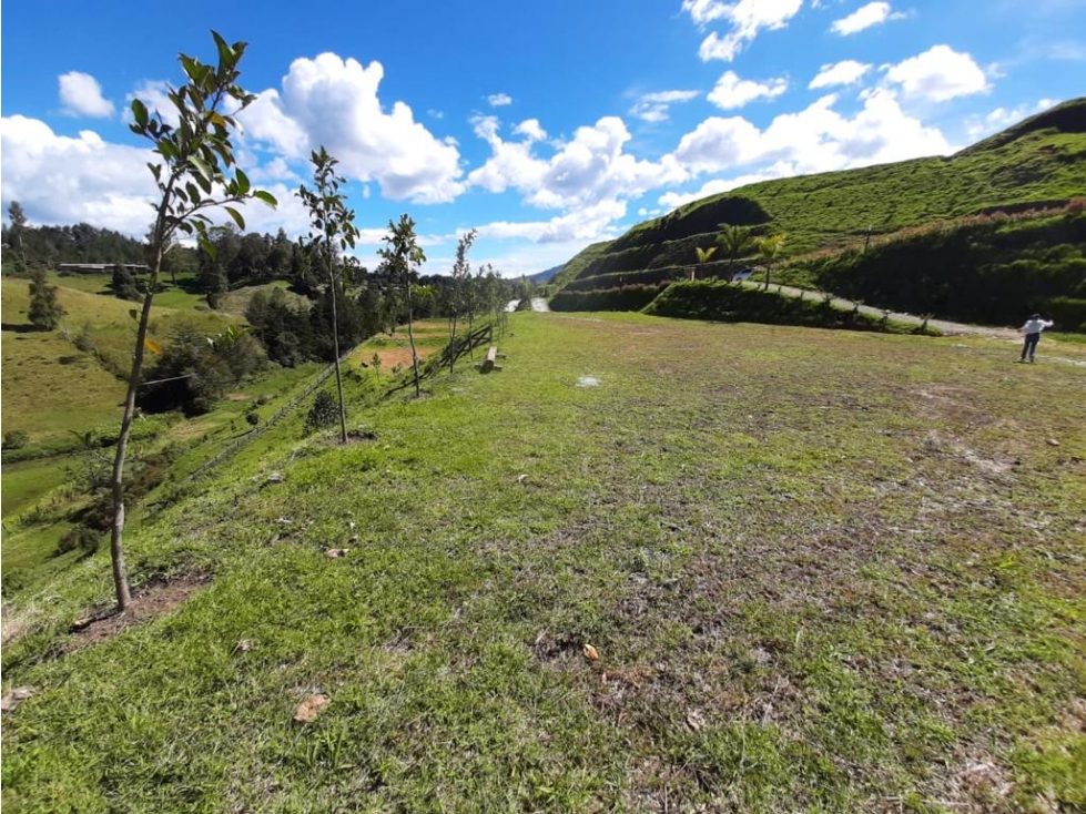 Lote en venta en El Retiro vía Pantanillo - 3