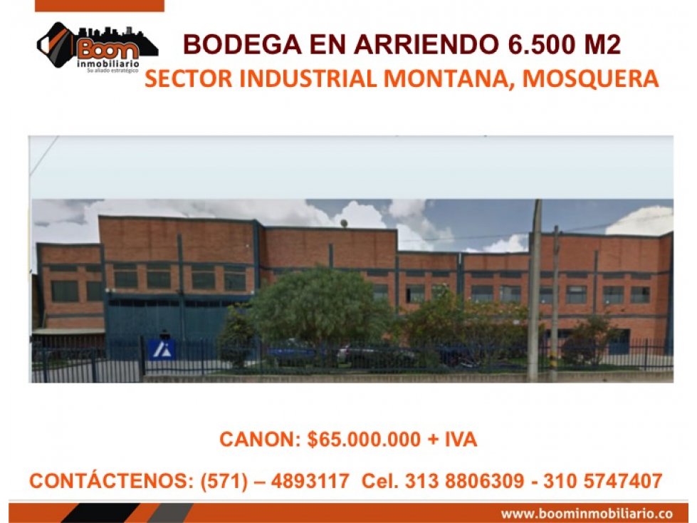 ARRIENDO BODEGA MOSQUERA 6.500 M2 - 1