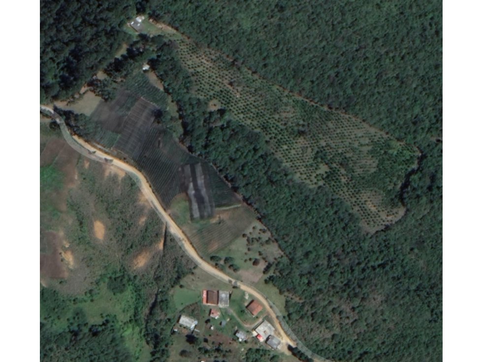 Finca Productiva en Venta en Vereda Barro Blanco Guarne - 3