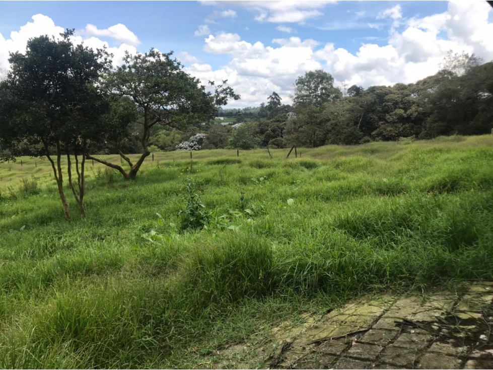 Casa Lote en Venta vía San Antonio La Ceja - 5
