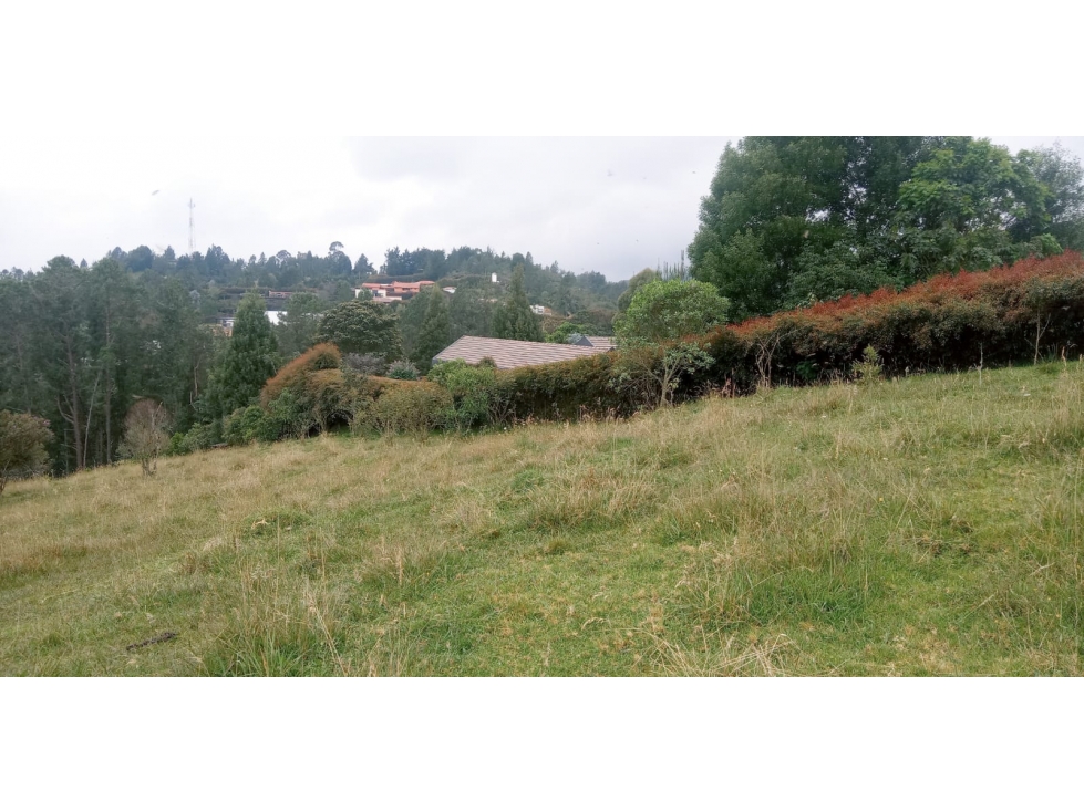 Lote en Venta en Alto de las Palmas Sector La Esperanza — foto 4
