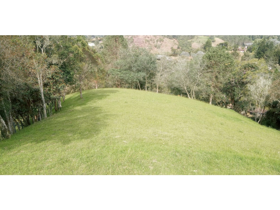 Lote en Venta Sector la Esperanza, Las Palmas — foto 6