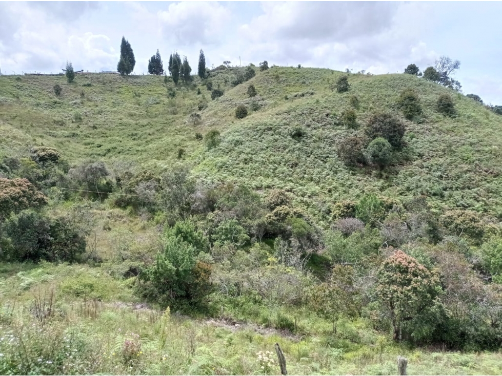 Lote en Venta Proyecto Nuevo en Parcelación Guarne — foto 4