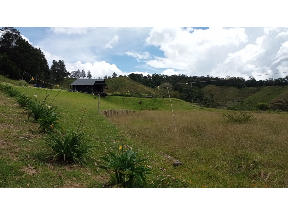 Lote en Venta en el Retiro Sector Pantanillo Parcelación Moderna — foto 3