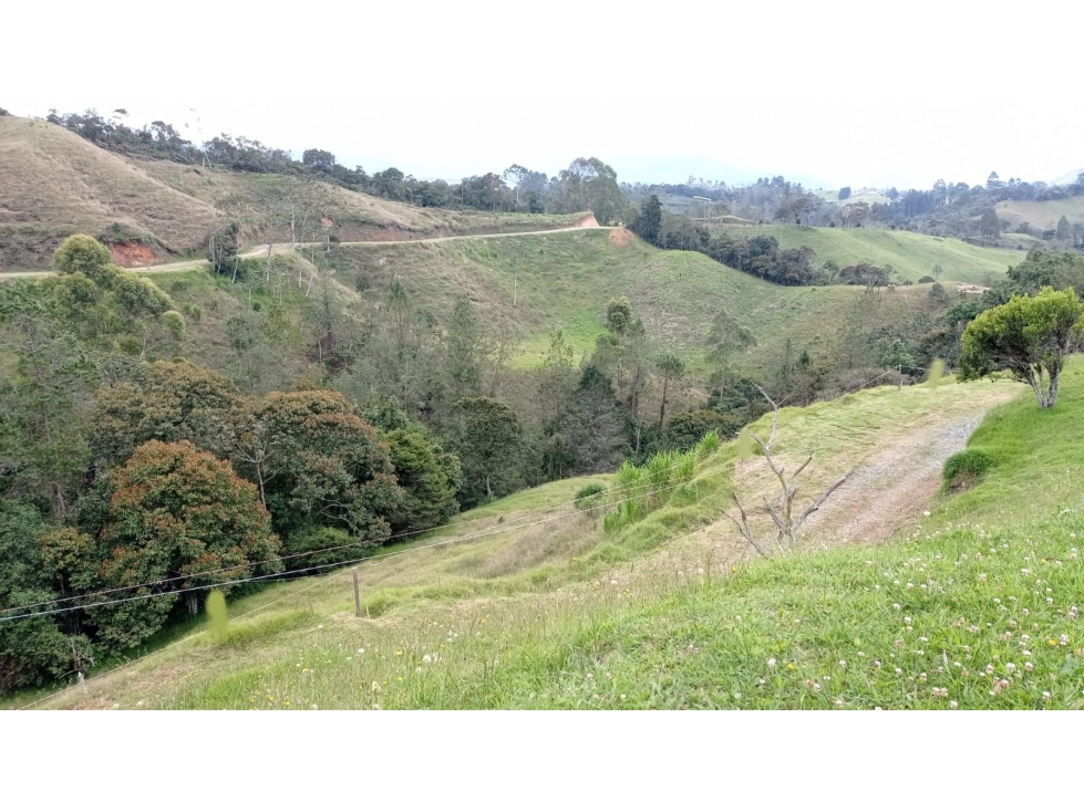 Lote en Venta Sector Pantanillo Parcelación Nueva, el Retiro — foto 6