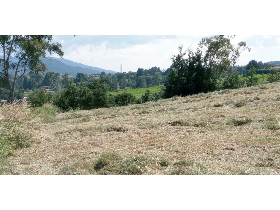 Lote en Venta Sector la Acuarela Alto de las Palmas, Envigado — foto 4