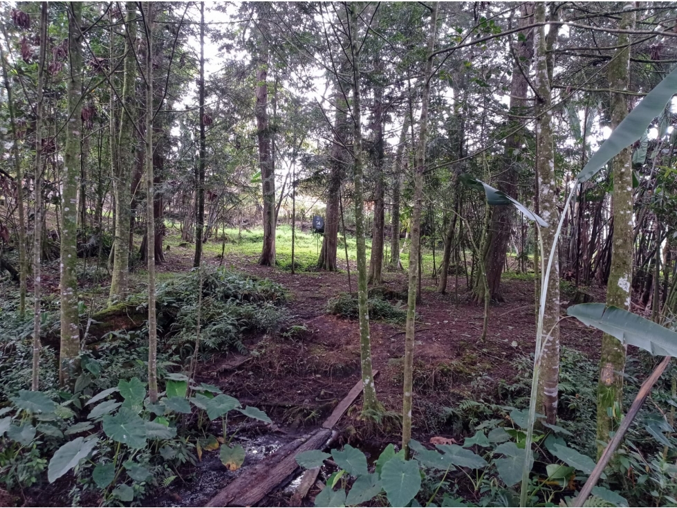 Lote en Venta Sector Llanogrande - Parcelación vía Don Diego — foto 5