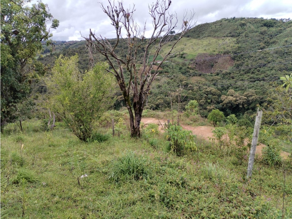 Casa Lote en Venta, Sector El Peñolcito, San Vicente — foto 6