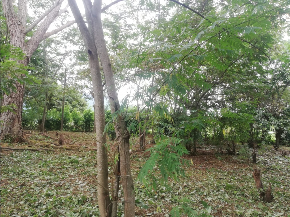 Lote en Sopetran, sector Chagual Con proyección Urbana — foto 6