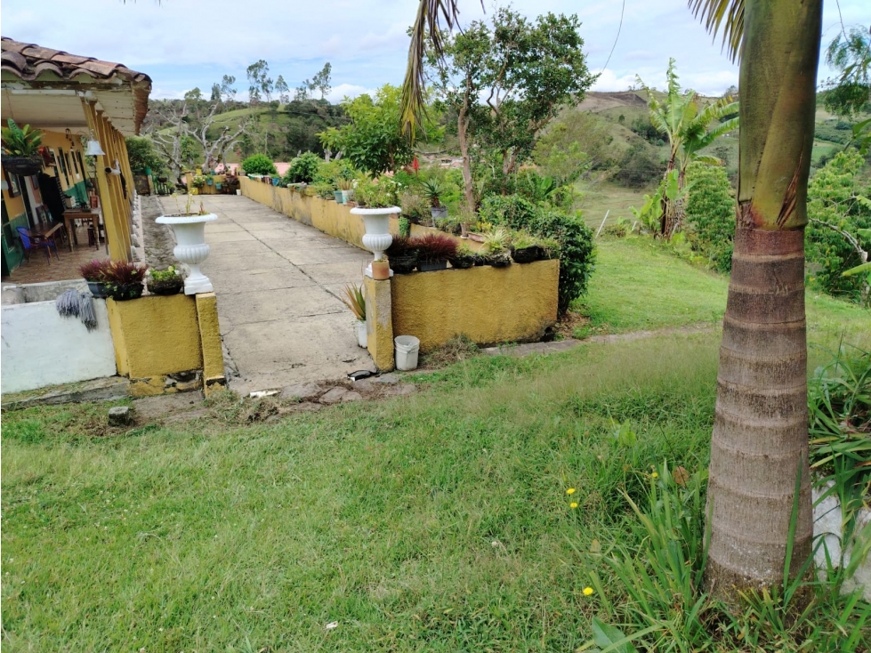 Casa lote en venta, sector La Magdalena, San Vicente — foto 2
