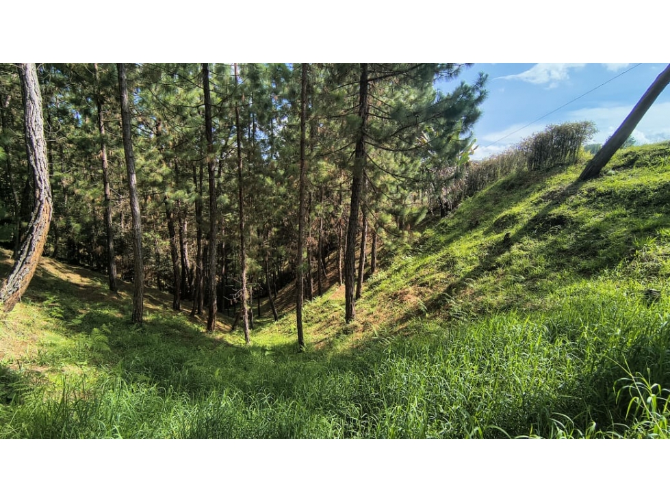 Lote en venta, vereda San Antonio sector Campo Alegre, San Vicente