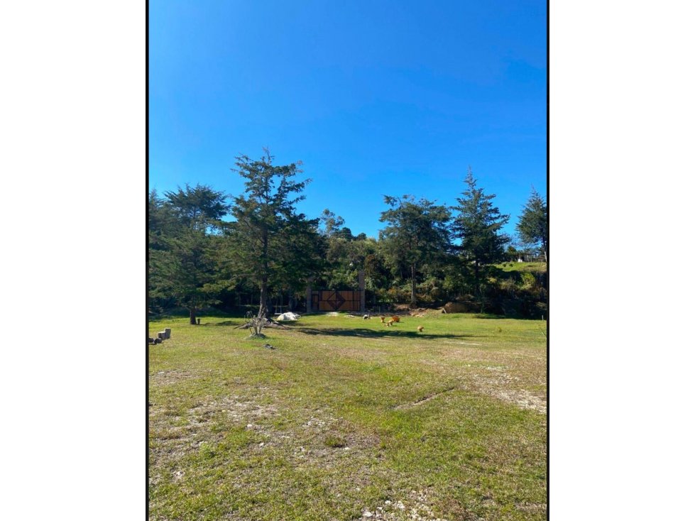 Finca en Venta vereda Ovejas en San Vicente — foto 3