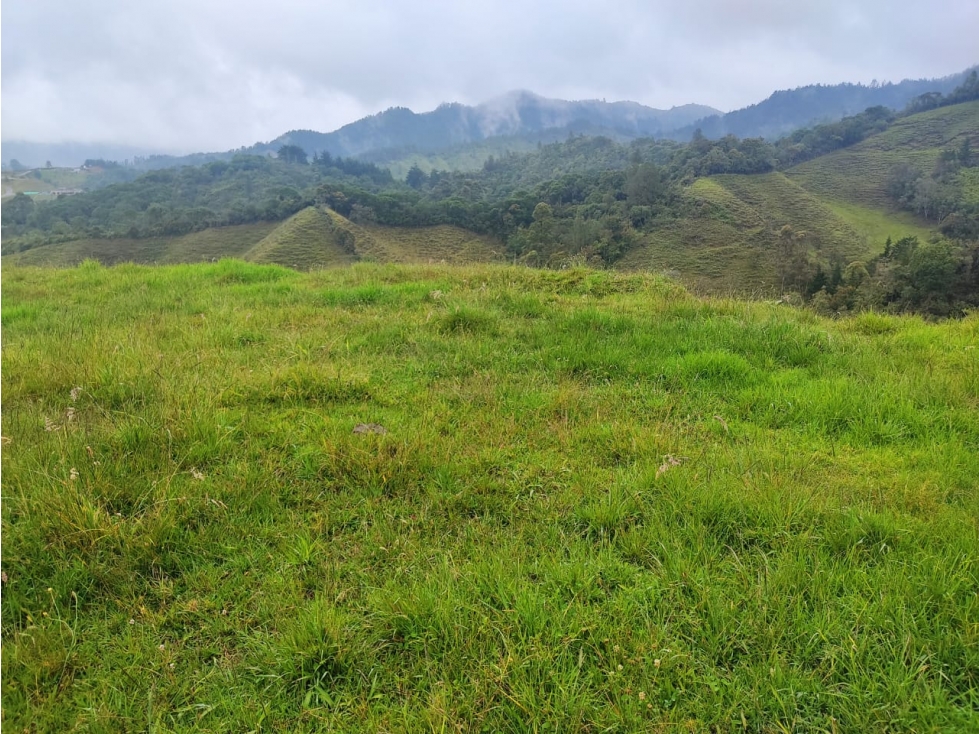 Lote en Venta El Retiro en Sector Pantanillo — foto 6