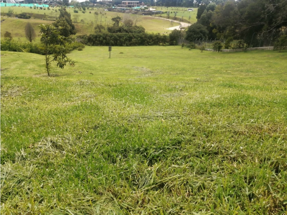 Lote en Venta Sector la Acuarela, Alto de las Palmas Envigado — foto 4