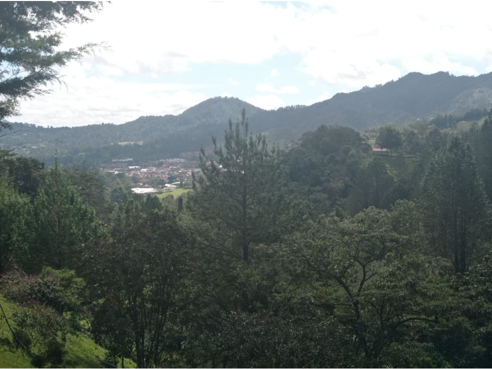 Lote en Venta en Parcelación Nueva El Retiro Sector Paso del Toro — foto 6