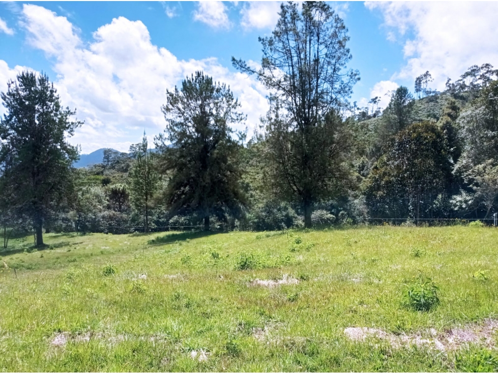 Lote en Venta Sector la Argentina El Retiro en Parcelación