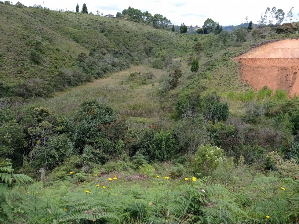 Lote en Venta en Parcelación Nueva en Guarne — foto 3