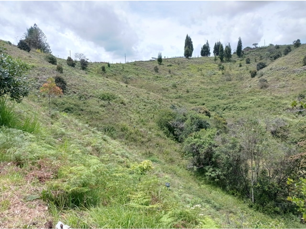 Lote en Venta Ubicado en Nuevo Proyecto en Parcelación Guarne