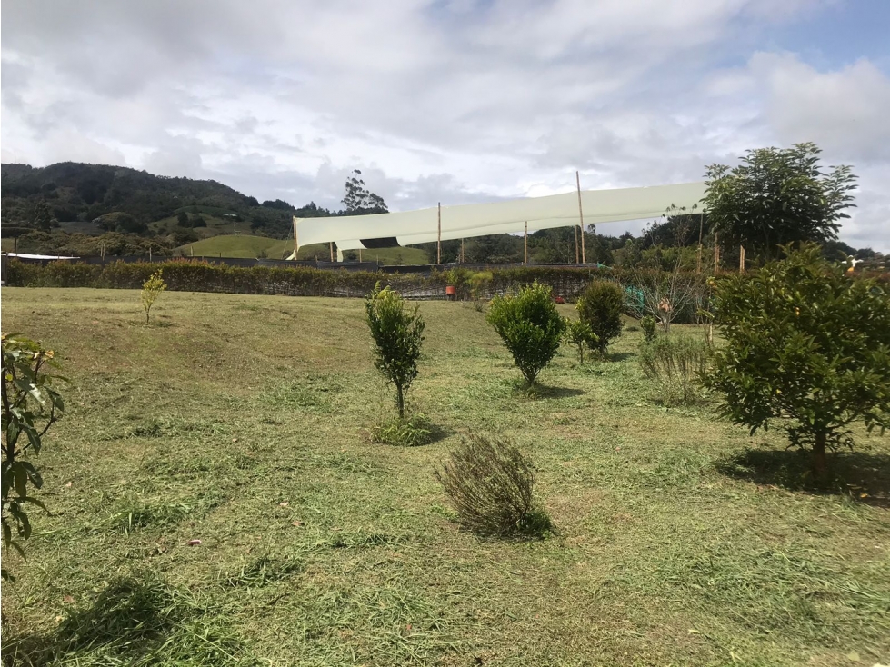 Lote en venta Sector El Carmen- Aguas claras