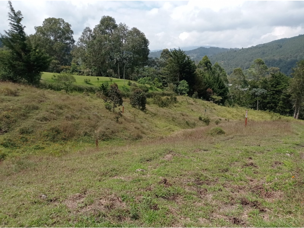 Lote en Venta Sector Llanogrande - Parcelación vía Don Diego