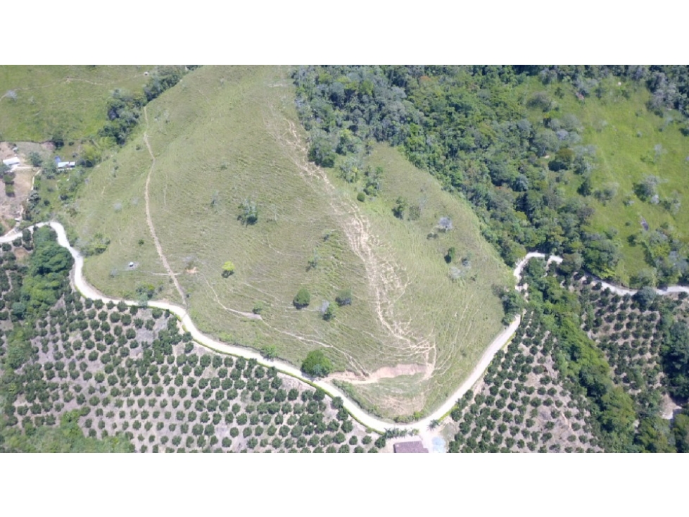 Lote en Venta en Eco Parcelación, en Porce Antioquia - 2