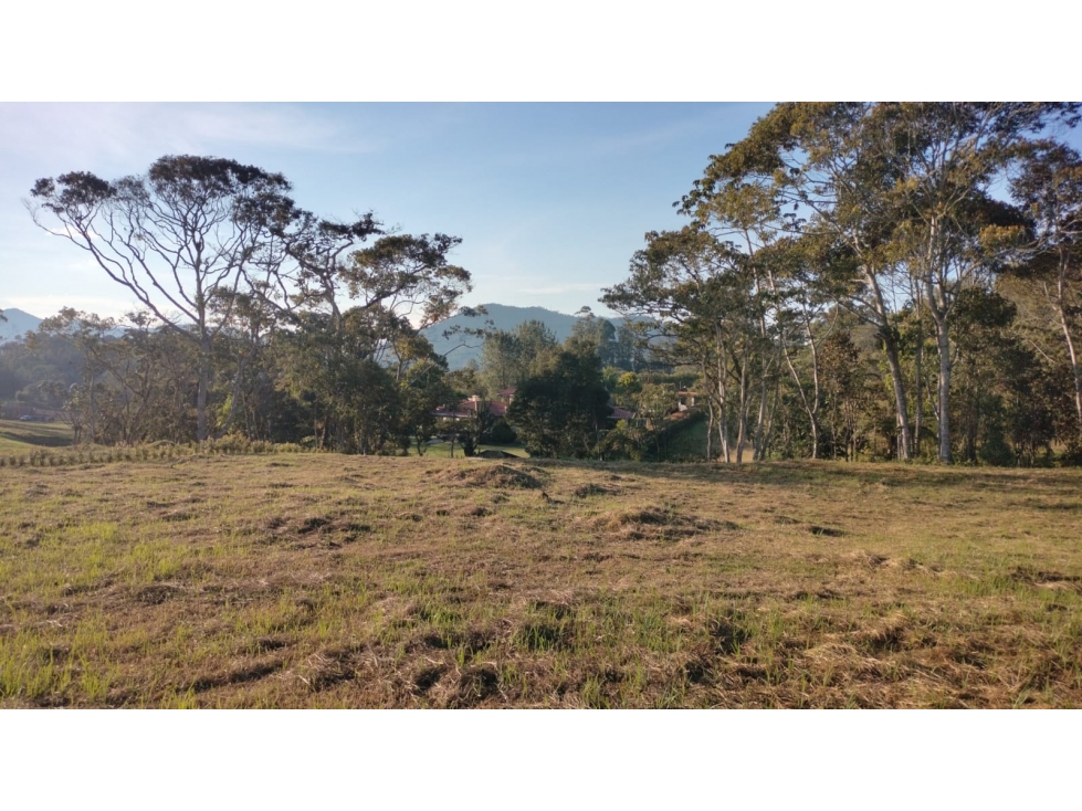 Lote con Topografía Plana Listo para Entrega en la Ceja