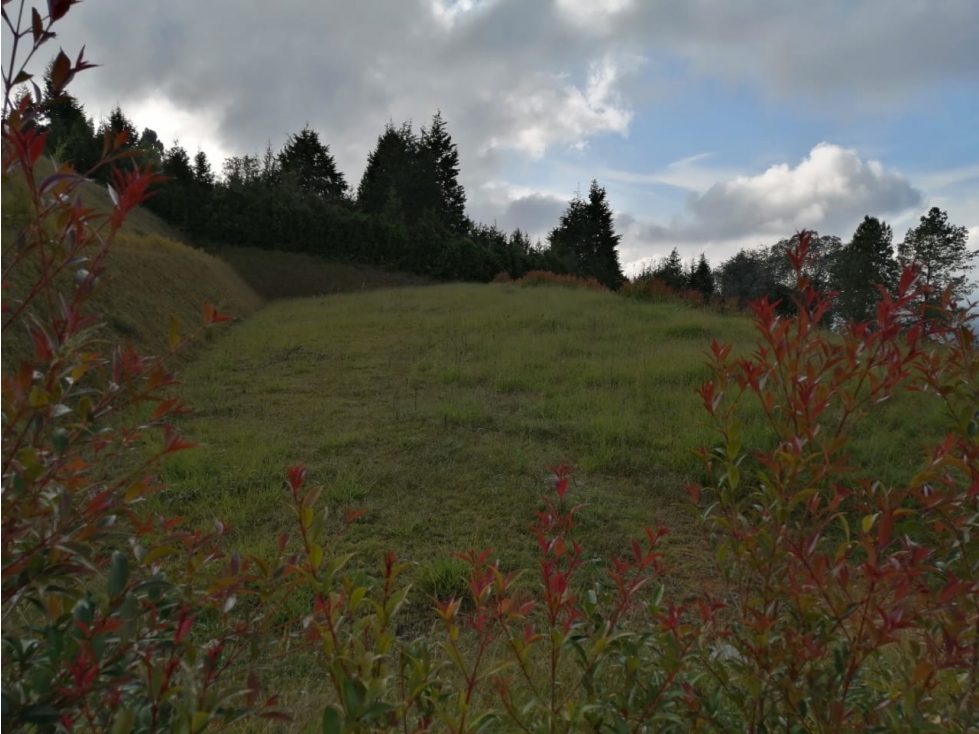 Lote en Venta sector Montañez en Guarne — foto 2