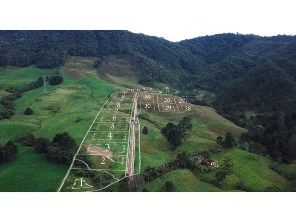 Lote en Venta en la Ceja, vía Abejorral Área 2.520 M2 — foto 4