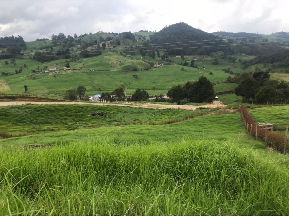 Lote en Venta en San Pedro de los Milagros Vereda La Pulgarina — foto 3