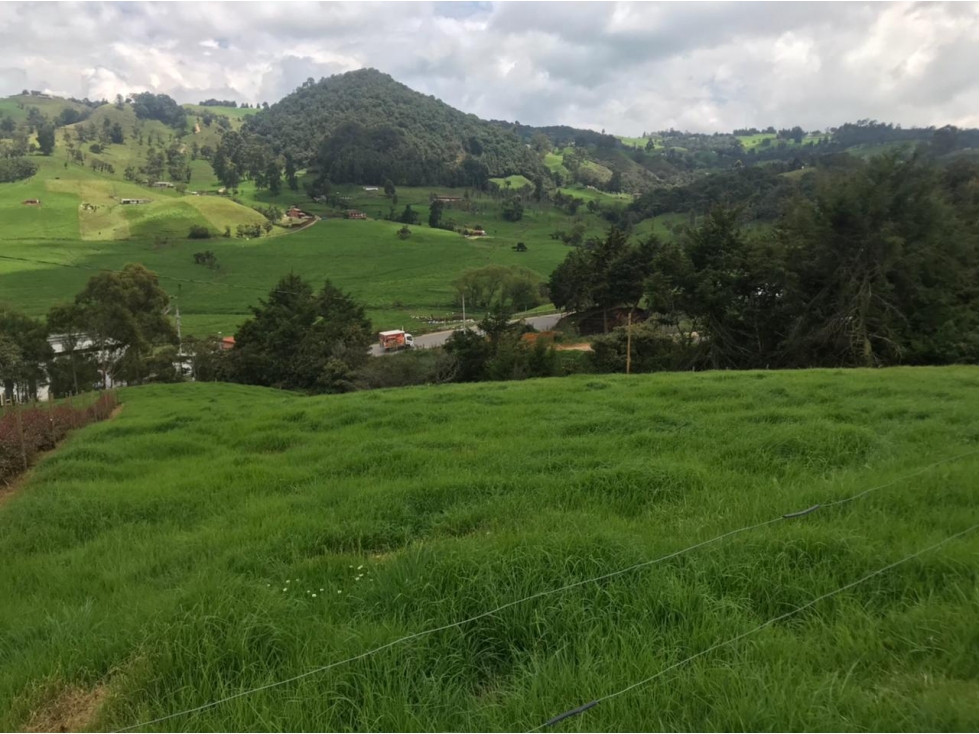 Lote en Venta en San Pedro de los Milagros Vereda La Pulgarina