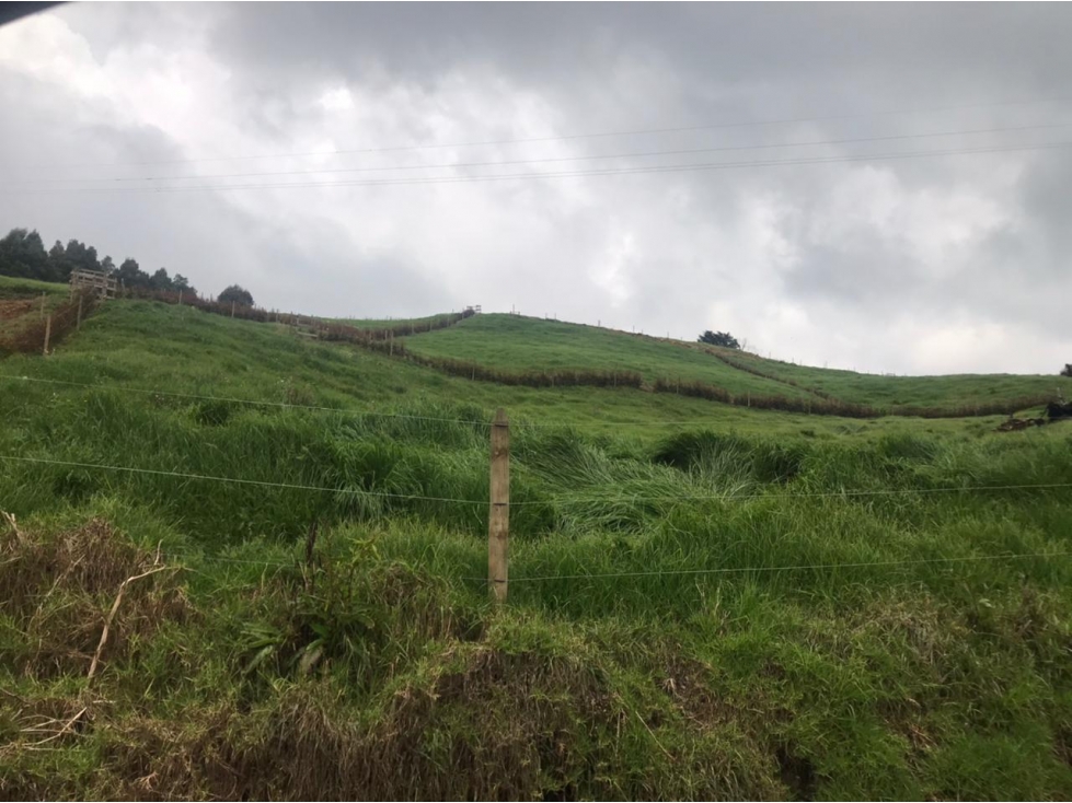 Lote en Venta en San Pedro de los Milagros Vereda La Pulgarina