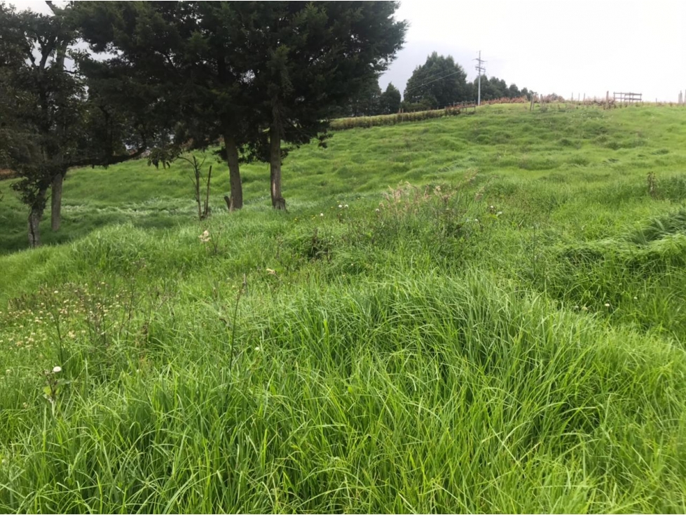 Lote en Venta en San Pedro de los Milagros Vereda La Pulgarina — foto 3