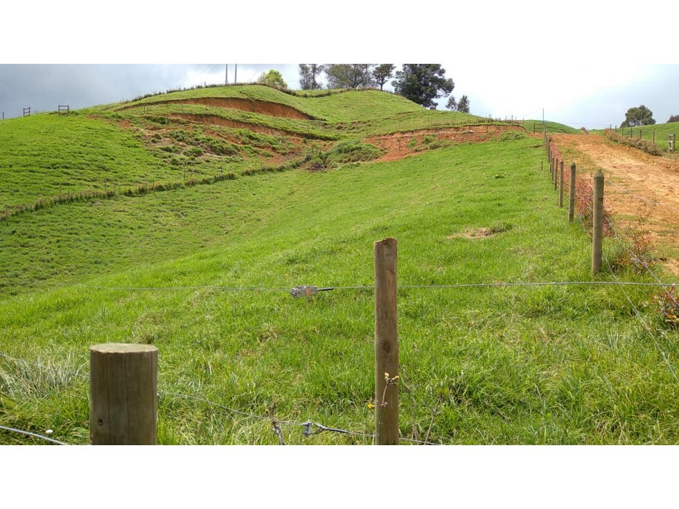 Lote en Venta en San Pedro de los Milagros Vereda La Pulgarina
