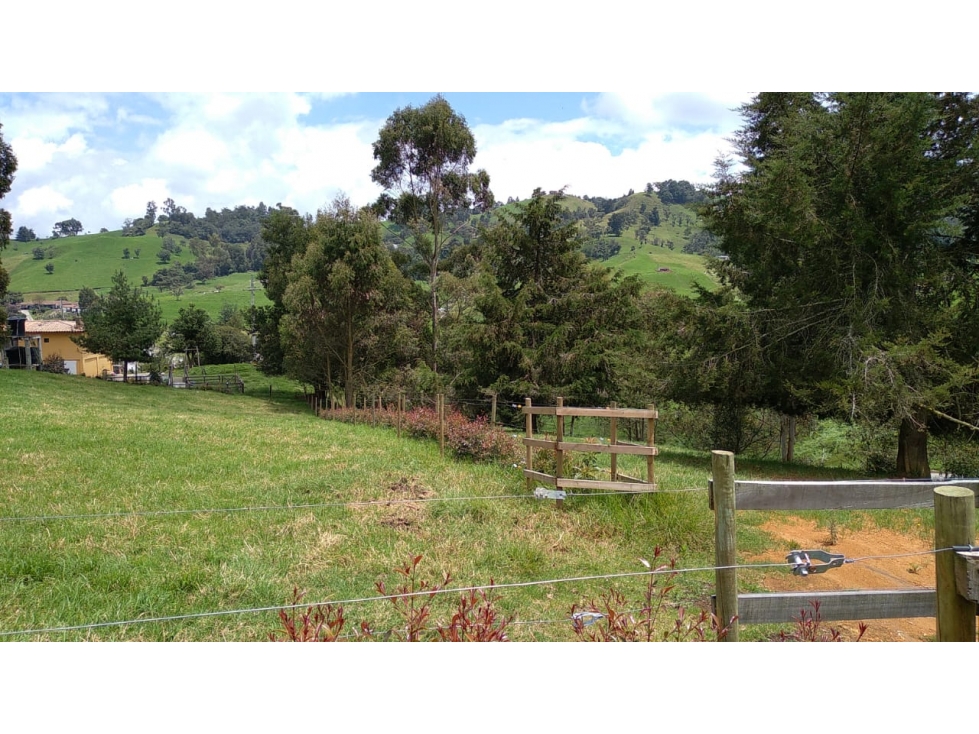Lote en Venta Vereda La Pulgarina en San Pedro de los Milagros — foto 4