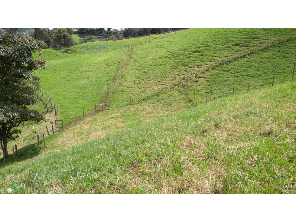 Lote en Venta Vereda La Pulgarina en San Pedro de los Milagros