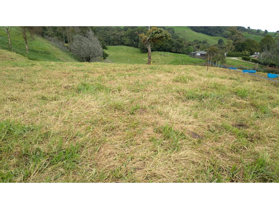 Lote en Venta Vereda La Pulgarina en San Pedro de los Milagros