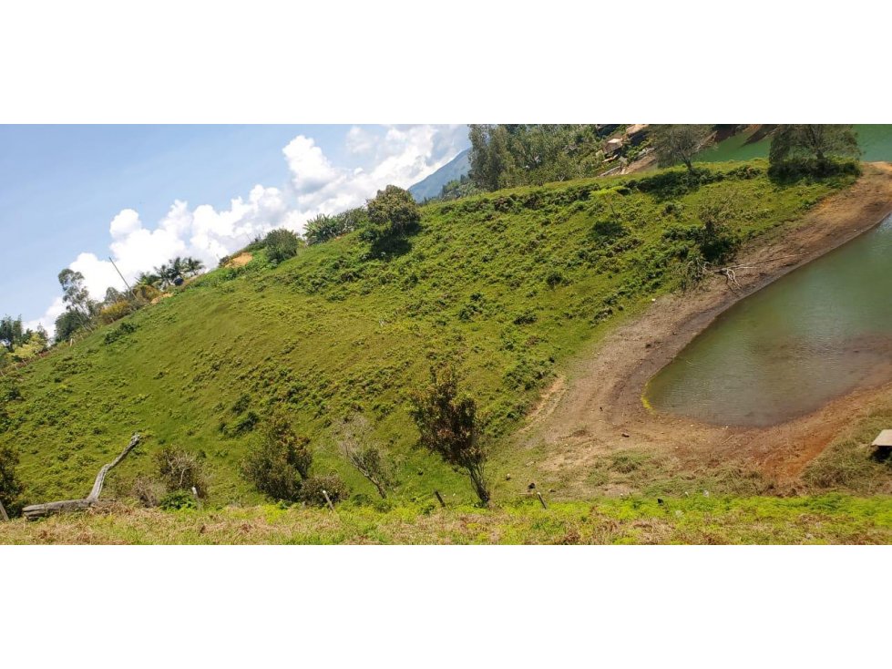 Lote en Venta sector El Uvital en El Peñol - 3