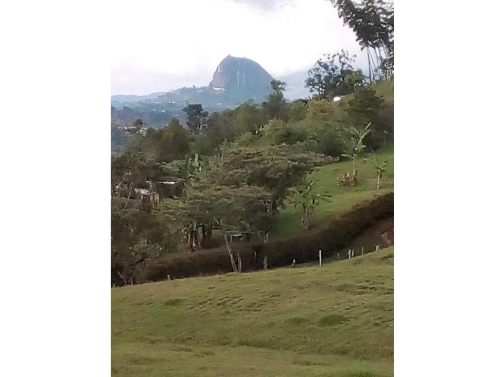 Lote en Venta vereda Chiquinquirá en El Peñol - 4
