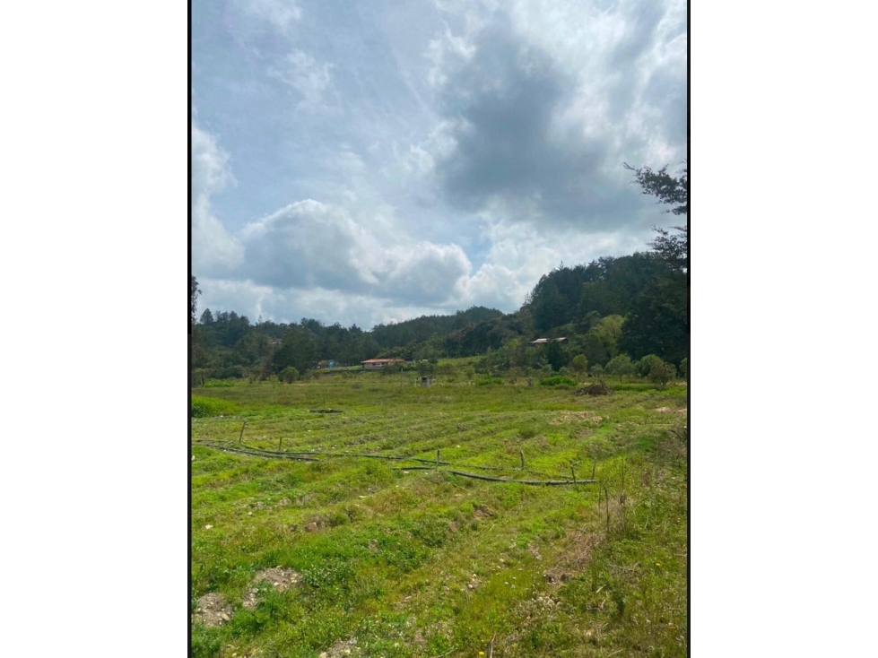 Finca en Venta vereda Ovejas en San Vicente — foto 4