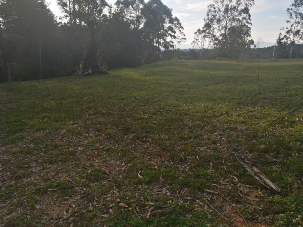 Lote en Venta en Guatapé Sector Los Benedictinos — foto 3