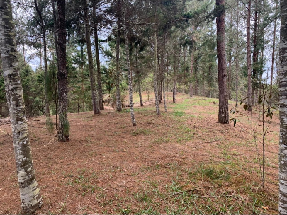 Lote en Venta Sector Lejos del Nido, el Retiro — foto 3